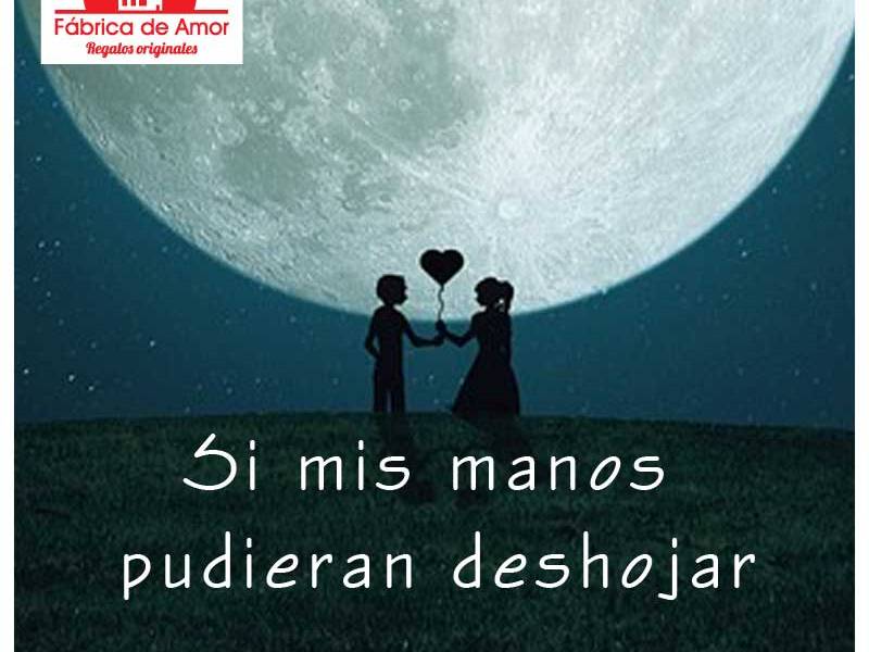 Si mis manos pudieran&nbsp;deshojar