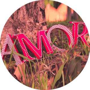 Dedicatorias Vida de Amor